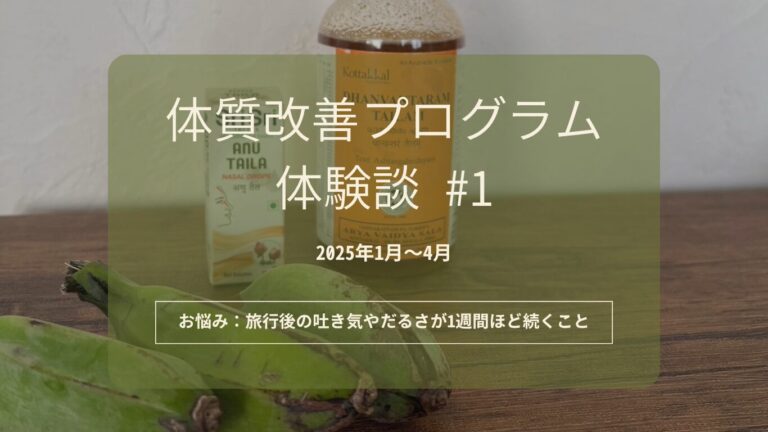 【体質改善プログラム体験談】旅のあと、必ず寝込んでいた私が変わった3ヶ月