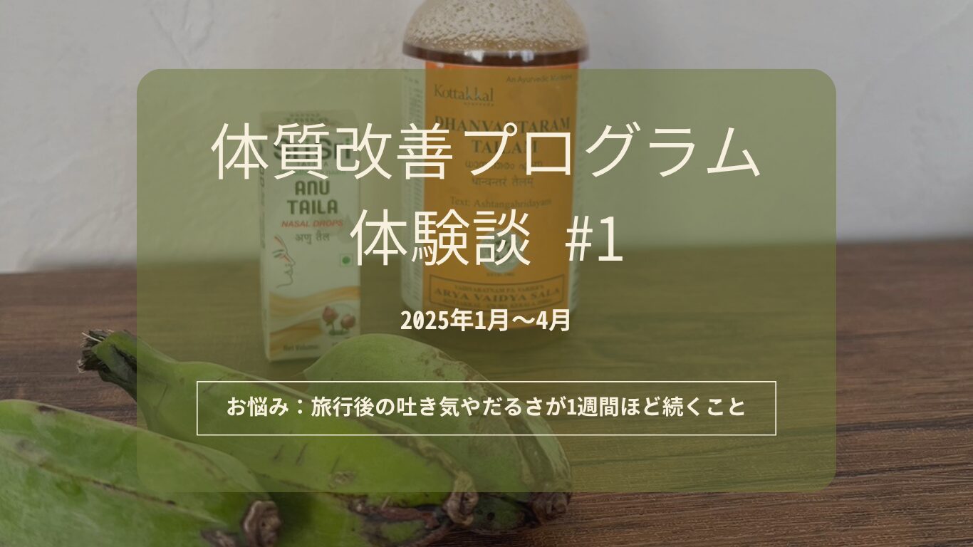 【体質改善プログラム体験談】旅のあと、必ず寝込んでいた私が変わった3ヶ月