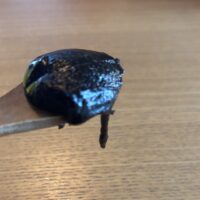 医師の指示のもとで使用しているフリダヤヴィレチャナム(セルフヴィレチャナ用の薬)